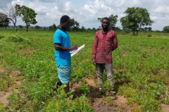 Doing farmers' training and organic farms inspection monitoring at GAA, SAMANGA, and SAMANG-YAPALA.